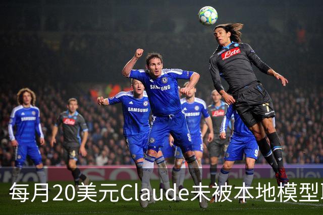 每月20美元Claude未被本地模型取代，被取代的是不敢上云的事